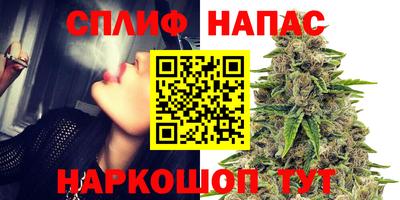 ГАЛЛЮЦИНОГЕННЫЕ ГРИБЫ Будённовск