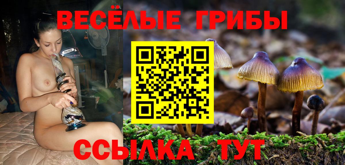 Псилоцибиновые грибы мухоморы Спасск-Дальний